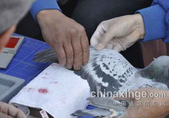 ͨ����Ⱥ����500�����������(ͼ)