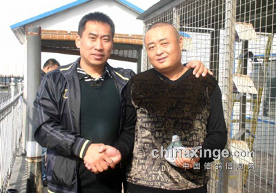 ������������������رȻ�����(ͼ)