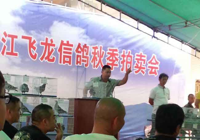 �����������������ʤ����������(ͼ)