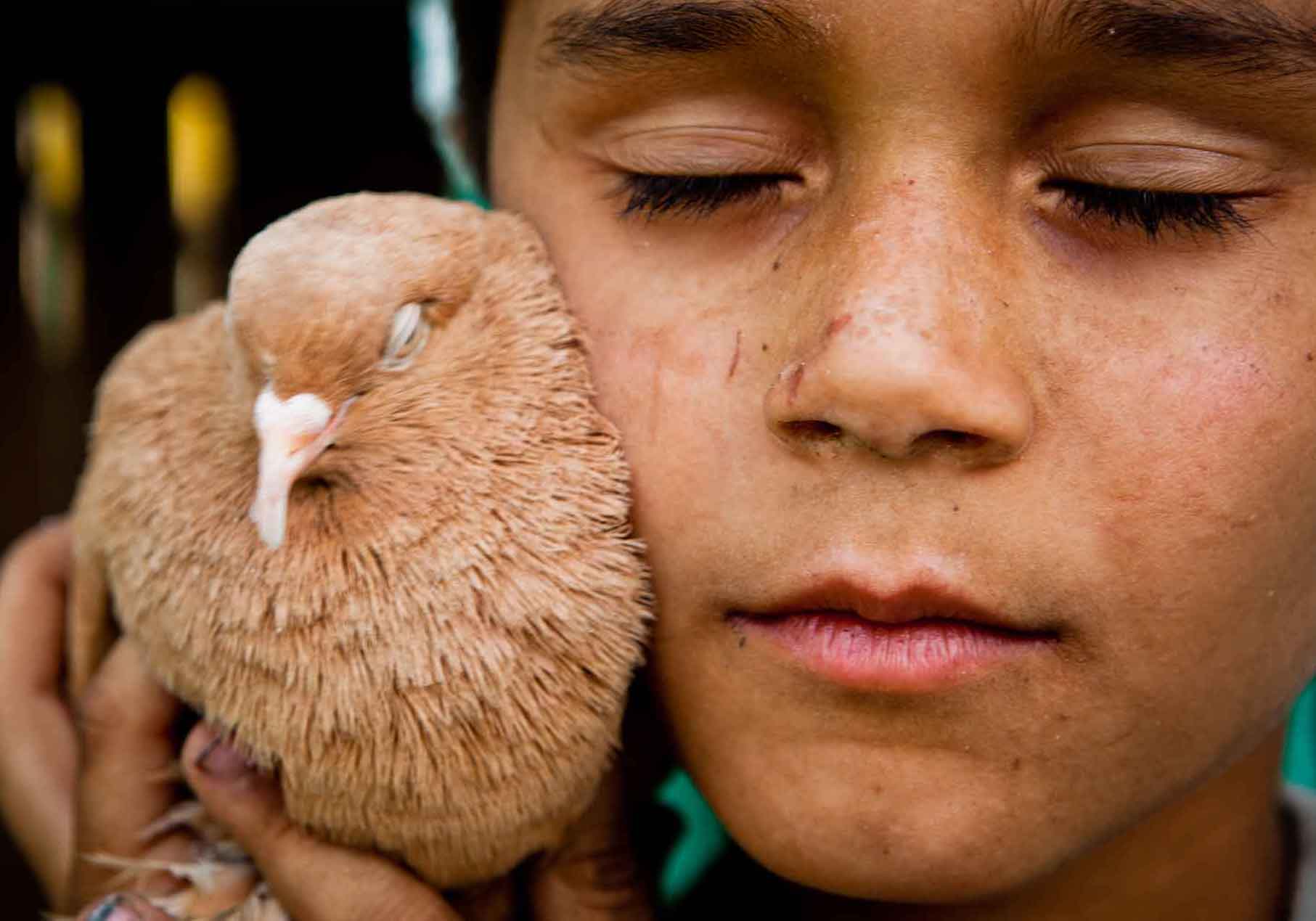 ���޸�������ѹ�µĹ��ϰ���(ͼ)