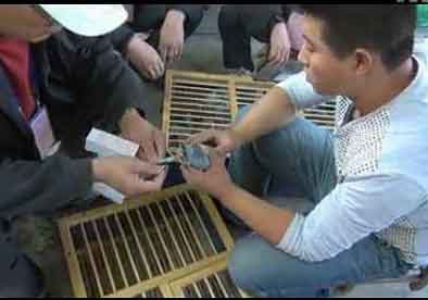 �����ٸ�԰450���Ｏ�뻨��