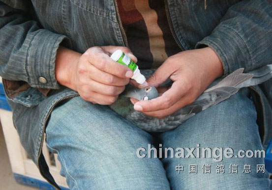 ������Ѿ��ֲ��׹�450������ǹ(ͼ)