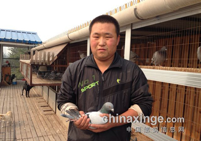 ��̨���300����ǰʮ����Ƭ(ͼ)