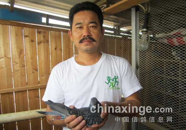 �����������������700����ǰʮ��(ͼ)