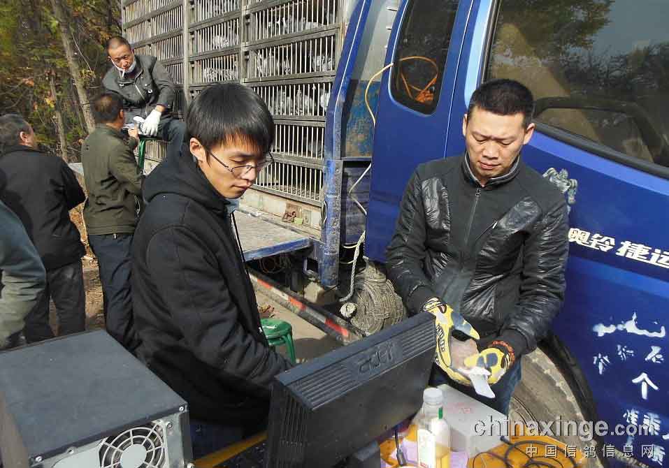 �½�ʯ����500�����������(ͼ)