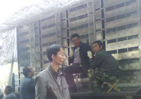 �����·�����رȵڶ��ؼ���(ͼ)