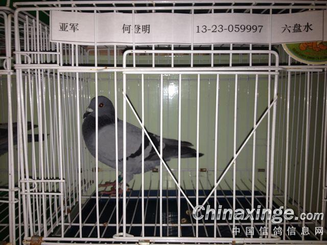 ������ӹ��������ֳ�(ͼ)