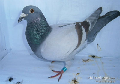 ������570���﹫����վǰʮ�����(ͼ)