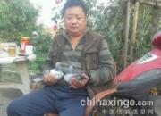 �ٿ����ˣ���̨ǧԪ�رȼ������(ͼ)