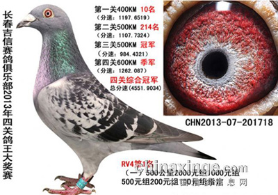 ��������ǧԪ�ر��Ĺ��ۺ�ǰʮ��(ͼ)