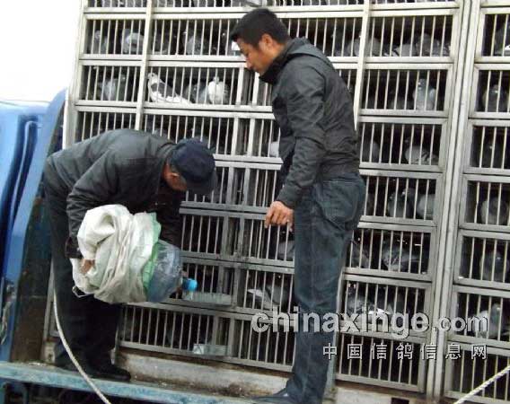 ʯ���Ӽ���500����رȽ���39��(ͼ)