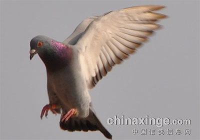 �״����㽱�����(ͼ)