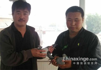 ������������̩���ڶ����뻧���(ͼ)