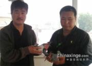 ������������̩���ڶ����뻧���(ͼ)