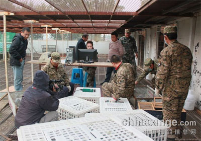 �������ͨ�﹫������ɨ��(ͼ)