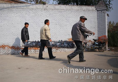 ̫�������ȶȲ���400���Ｏ�뻨��(ͼ)