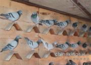 ������ṫ�｡��״̬(ͼ)