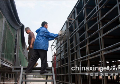 �����������ڶ���Ԥ������(ͼ)