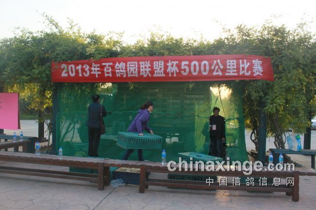 �������˱��ڶ���500����ɼ�(ͼ)