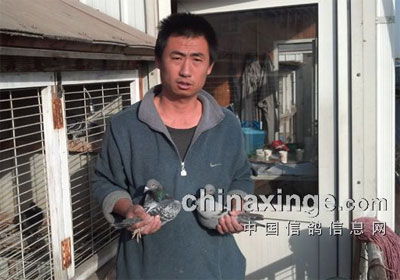 ������ᡰ���񱭡��ڶ���ǰʮ��(ͼ)