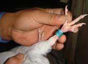 ��������˾���½������鳲(ͼ)