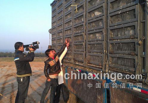 �������Ѽ� �ٿ�Ҳ��(ͼ)