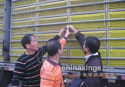 �人����200ר���ڶ���ǰʮ��(ͼ)