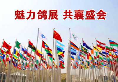 �۽�ר�⣺2013���й�11�Ҹ�չֱͨ��