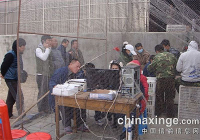 ������ҵ�������������ָ���ھ�(ͼ)