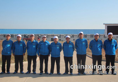 ��ľ����500�����������鳲(ͼ)