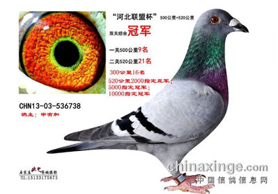 �ӱ����˱��ۺ�ǰ���ν�������(ͼ)