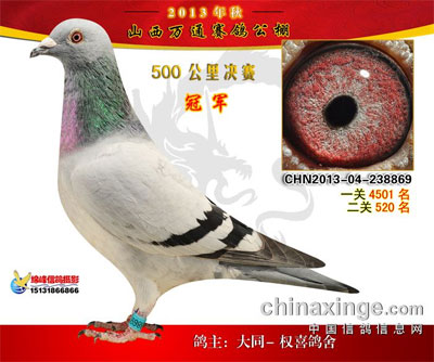 ɽ����ͨ��������񽱸�����(ͼ)