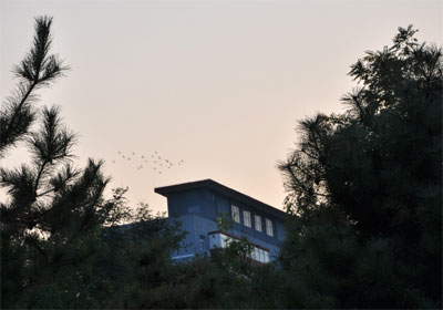 ��԰�Աߵ���������(ͼ)