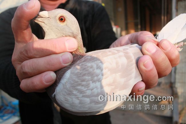 ������Ѷ���500����ǰʮλ���ͼ