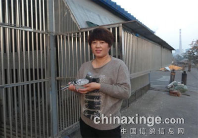 ��ɽ��ˮ300����ǰʮ���������(ͼ)