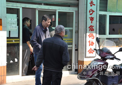 ��ɳ��Э500�������10��27�ռ���(ͼ)