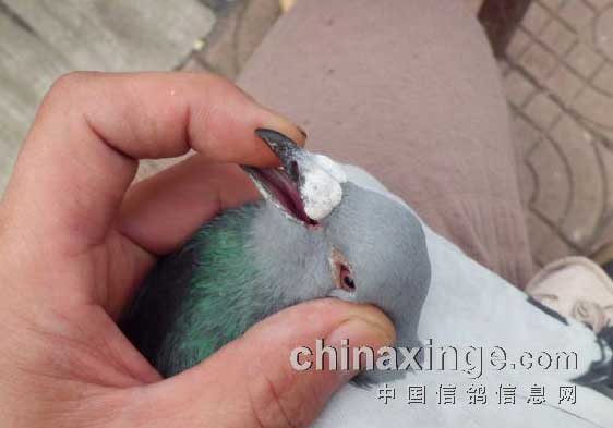 һ��Ǯ�οڻƼ��붻(ͼ)
