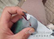 һ��Ǯ�οڻƼ��붻(ͼ)