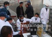 ���Ź�ƽ������ȥ����ִ��(ͼ)