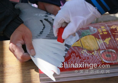 �������ǿ��չ���330����ǰ100��(ͼ)