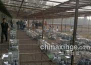 �״�����̽���ȷ���������(ͼ)