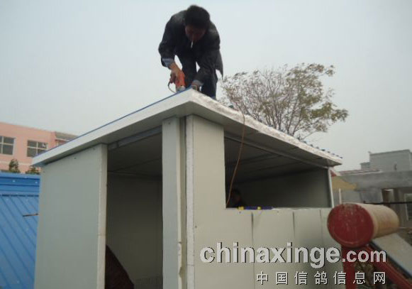 �Ž�С��᣺���Ѱｨ�¸���(ͼ)