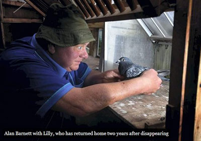 Ӣ������С��ʧ������󷵼�(ͼ)