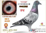 ���㹫������������ǰʮ������(ͼ)