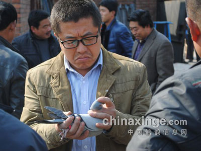 �������ϣ�̫�ȸ�Э500���Ｏ�뻨��