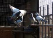 TV�����＾��Ӱ