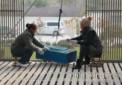 �������ǿ��յڶ���430������ʱ�ɼ�(ͼ)