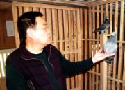 �Ϻ���԰���ᡪ�����ұ�(��)