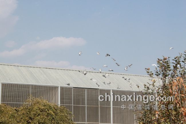 �������ǿ��չ���430����鳲ͼ