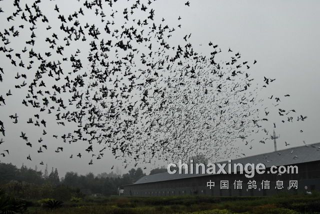 �ɶ��������⻬��¬ ������ʧ����